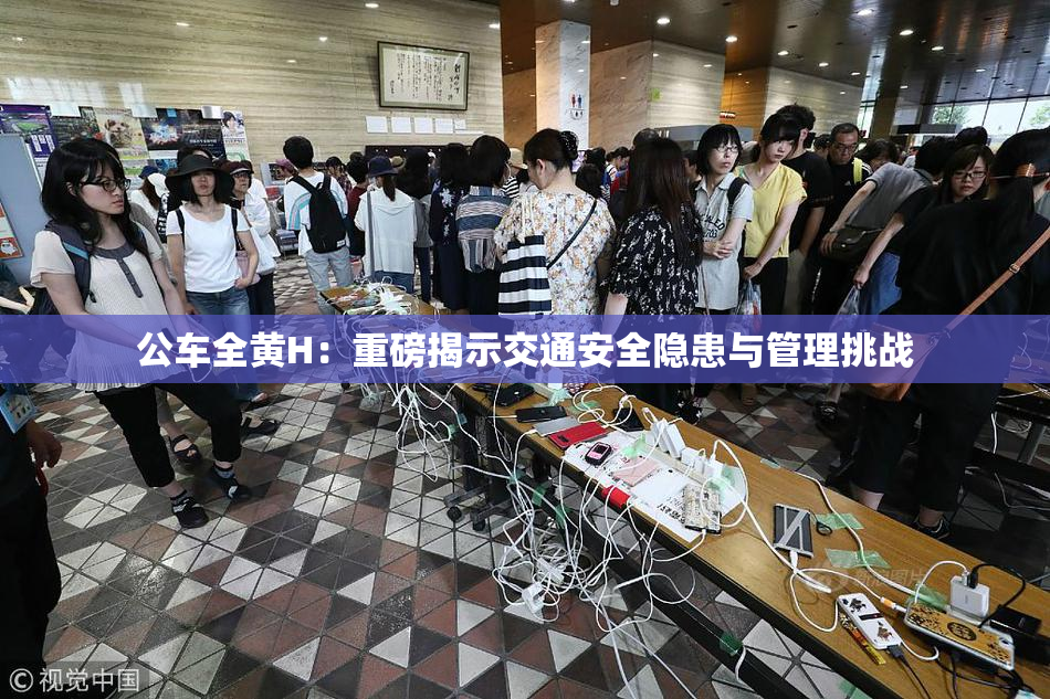 公车全黄H：重磅揭示交通安全隐患与管理挑战