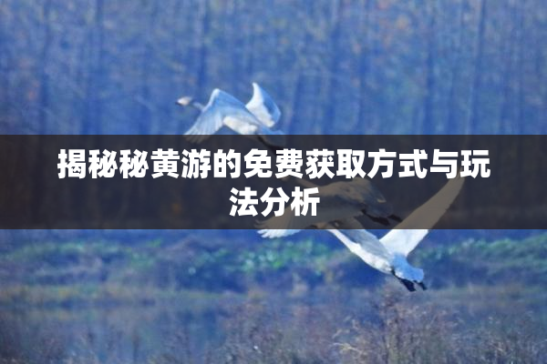 揭秘秘黄游的免费获取方式与玩法分析