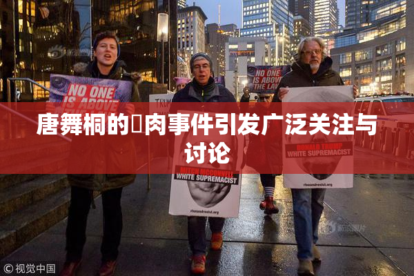 唐舞桐的婬肉事件引发广泛关注与讨论