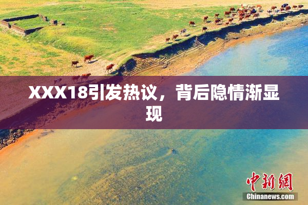 XXX18引发热议，背后隐情渐显现