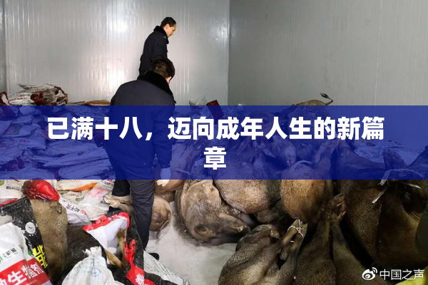 已满十八，迈向成年人生的新篇章