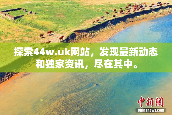 探索44w.uk网站，发现最新动态和独家资讯，尽在其中。