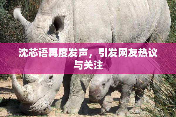 沈芯语再度发声，引发网友热议与关注