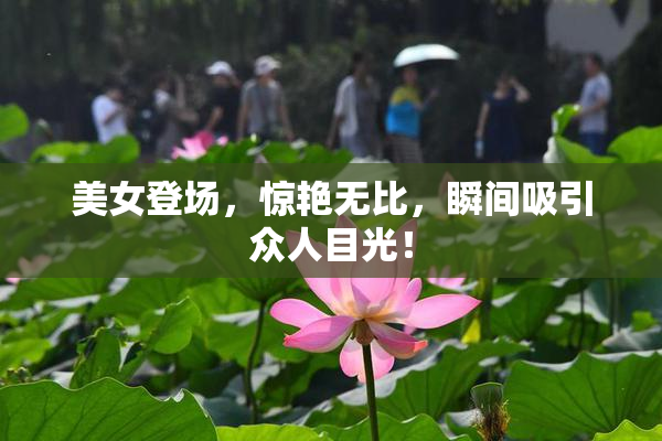 美女登场，惊艳无比，瞬间吸引众人目光！
