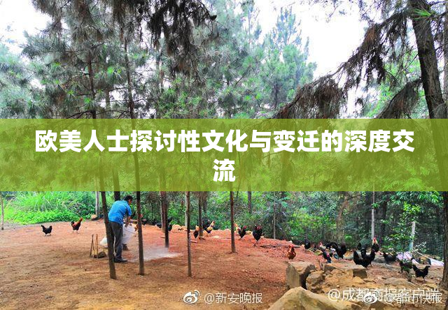 欧美人士探讨性文化与变迁的深度交流