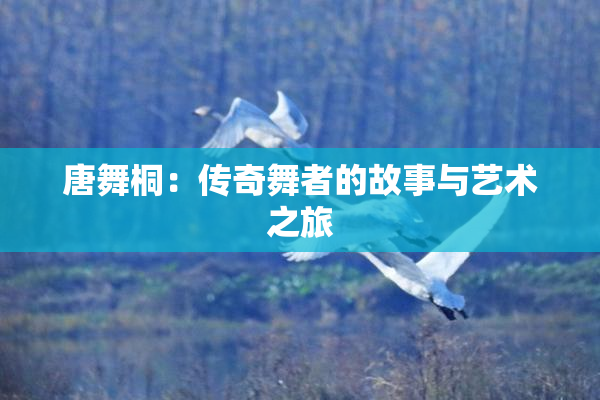 唐舞桐：传奇舞者的故事与艺术之旅
