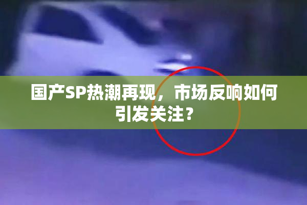 国产SP热潮再现，市场反响如何引发关注？