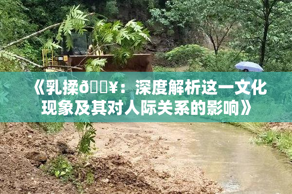 《乳揉🔥：深度解析这一文化现象及其对人际关系的影响》
