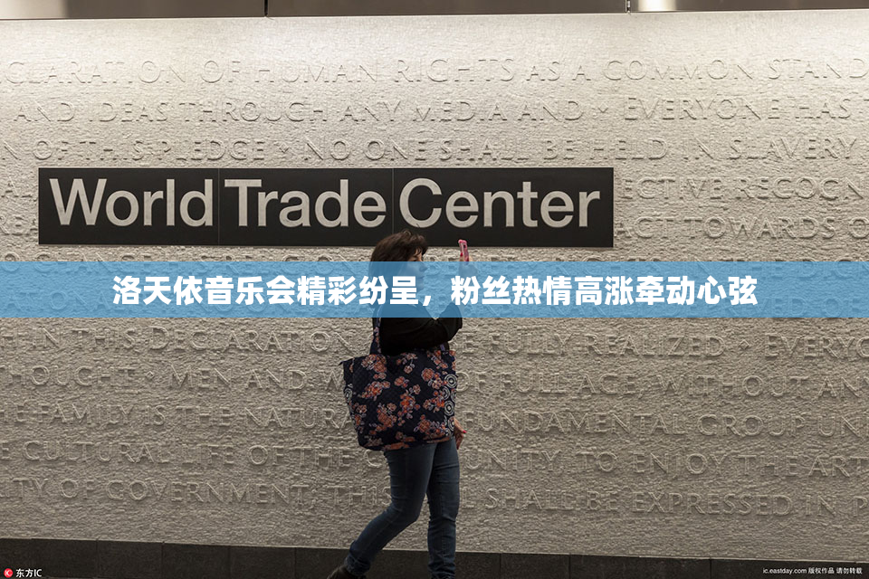 洛天依音乐会精彩纷呈，粉丝热情高涨牵动心弦