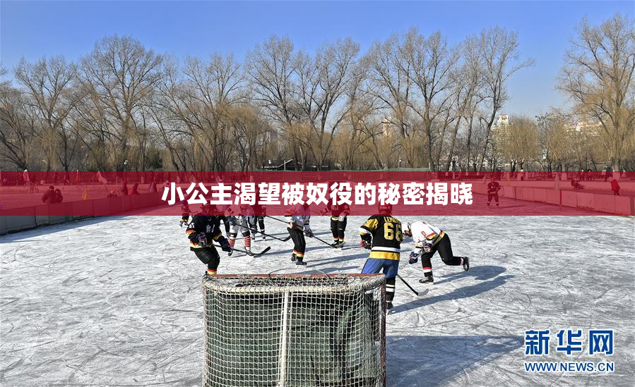 小公主渴望被奴役的秘密揭晓