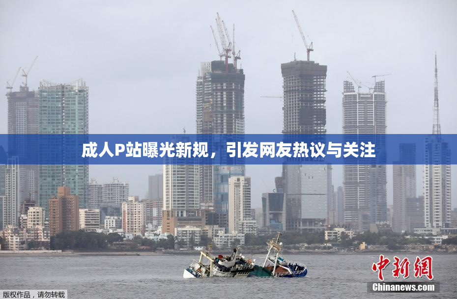 成人P站曝光新规，引发网友热议与关注