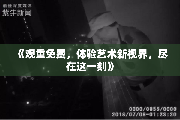 《观重免费，体验艺术新视界，尽在这一刻》