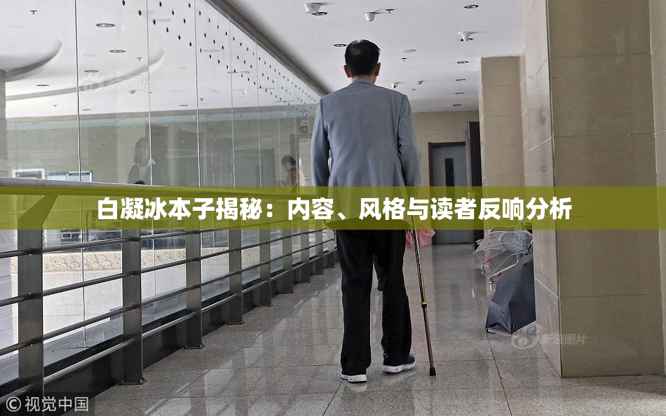 白凝冰本子揭秘：内容、风格与读者反响分析