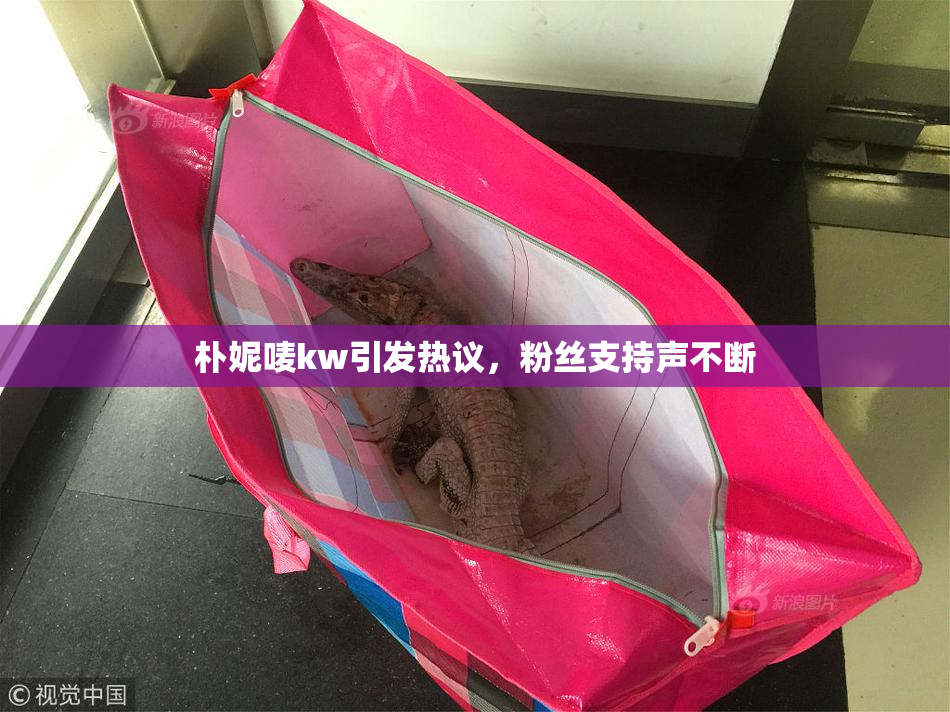 朴妮唛kw引发热议，粉丝支持声不断