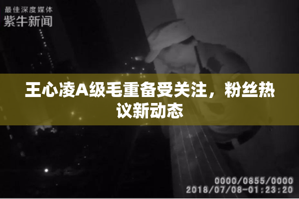 王心凌A级毛重备受关注，粉丝热议新动态