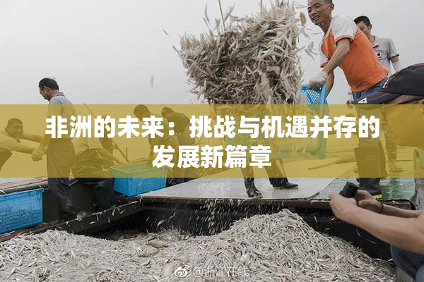 非洲的未来：挑战与机遇并存的发展新篇章