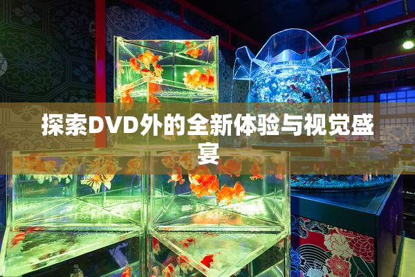 探索DVD外的全新体验与视觉盛宴