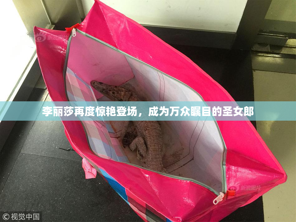 李丽莎再度惊艳登场，成为万众瞩目的圣女郎