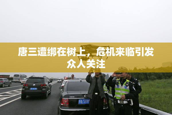 唐三遭绑在树上，危机来临引发众人关注