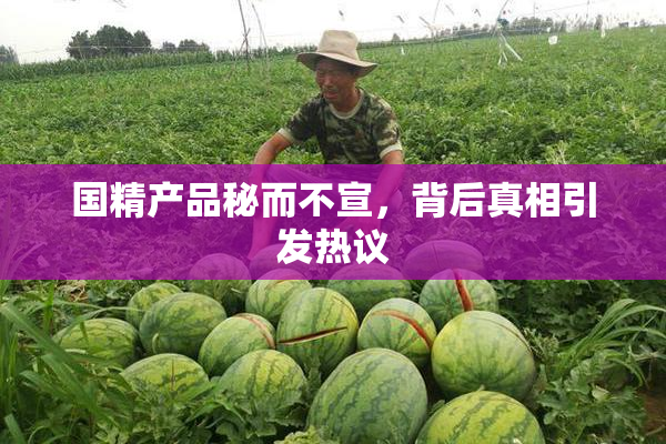 国精产品秘而不宣，背后真相引发热议