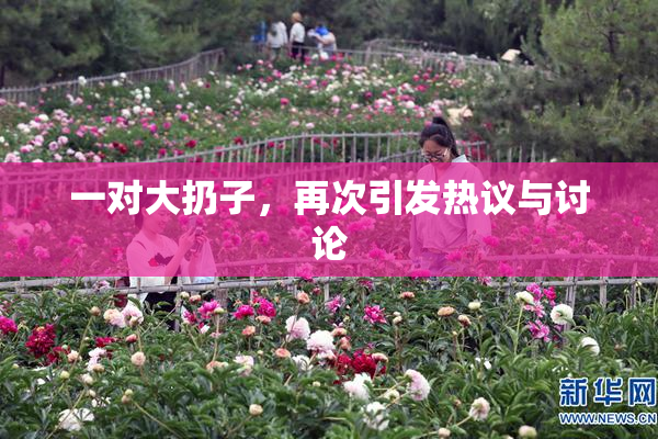 一对大扔子，再次引发热议与讨论
