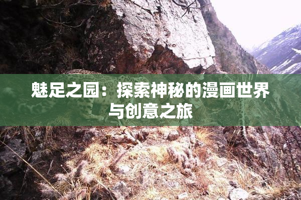 魅足之园：探索神秘的漫画世界与创意之旅