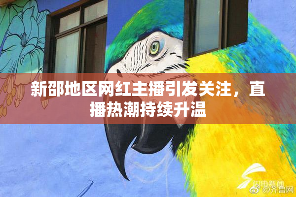 新邵地区网红主播引发关注，直播热潮持续升温