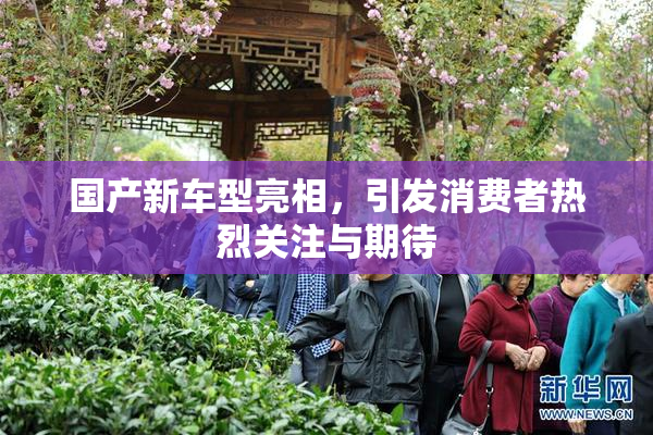 国产新车型亮相，引发消费者热烈关注与期待
