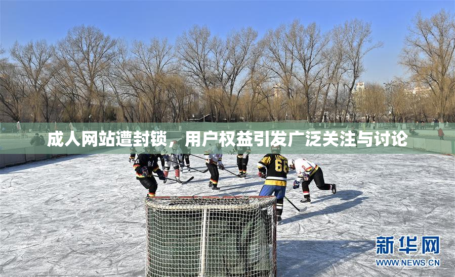 成人网站遭封锁，用户权益引发广泛关注与讨论