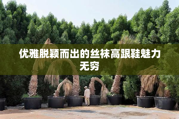 优雅脱颖而出的丝袜高跟鞋魅力无穷