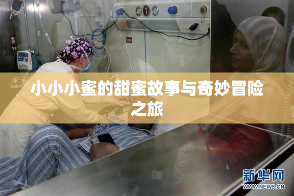 小小小蜜的甜蜜故事与奇妙冒险之旅