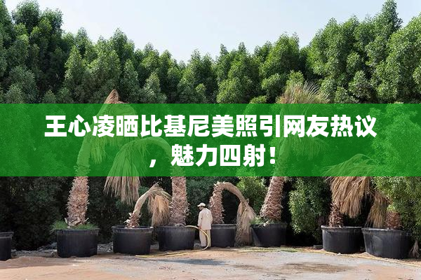 王心凌晒比基尼美照引网友热议，魅力四射！