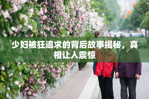少妇被狂追求的背后故事揭秘，真相让人震惊
