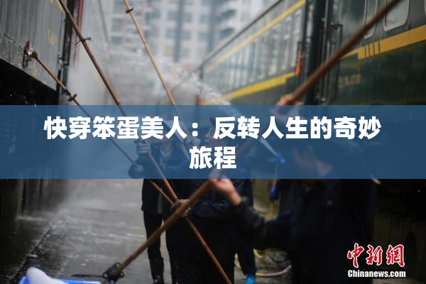 快穿笨蛋美人：反转人生的奇妙旅程