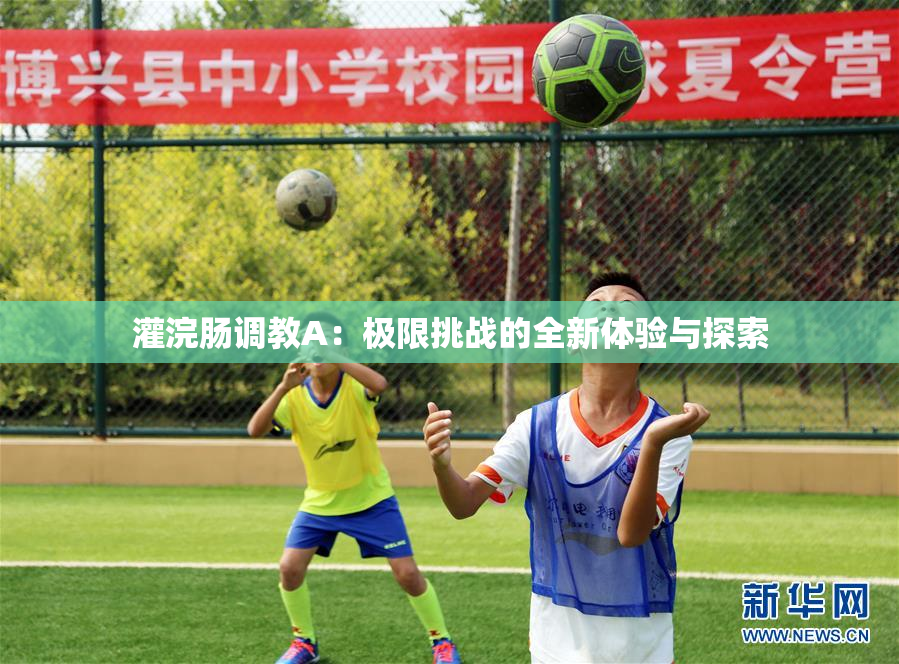 灌浣肠调教A：极限挑战的全新体验与探索