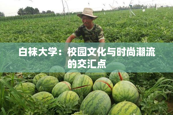 白袜大学：校园文化与时尚潮流的交汇点