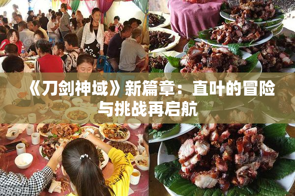 《刀剑神域》新篇章：直叶的冒险与挑战再启航