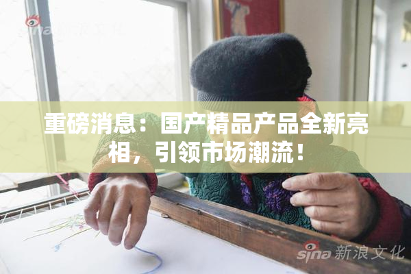 重磅消息：国产精品产品全新亮相，引领市场潮流！