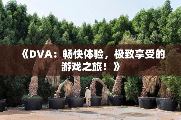 《DVA：畅快体验，极致享受的游戏之旅！》