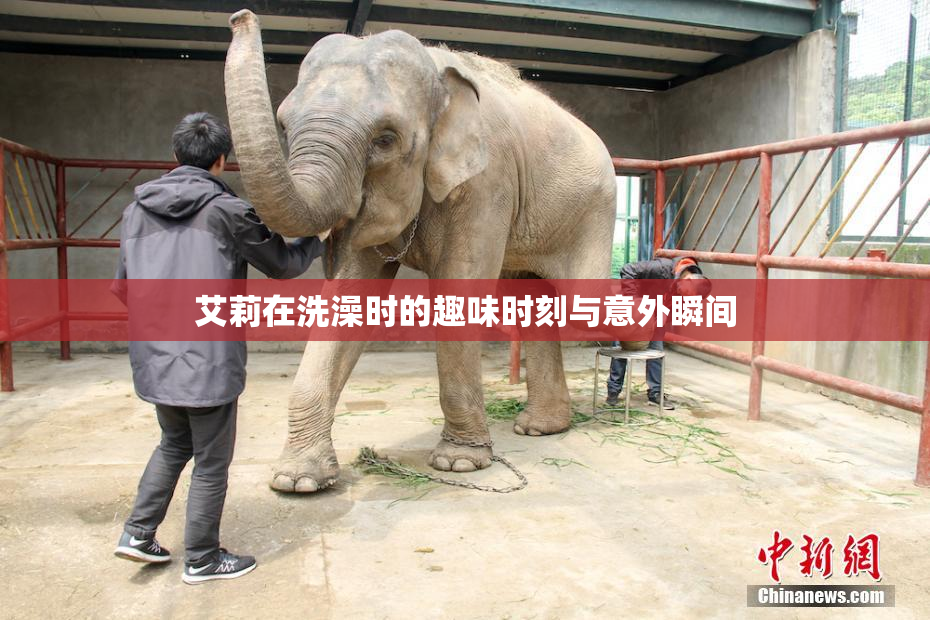 艾莉在洗澡时的趣味时刻与意外瞬间