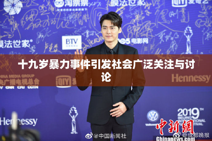 十九岁暴力事件引发社会广泛关注与讨论