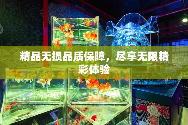 精品无损品质保障，尽享无限精彩体验