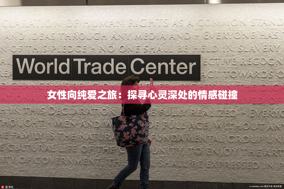 女性向纯爱之旅：探寻心灵深处的情感碰撞