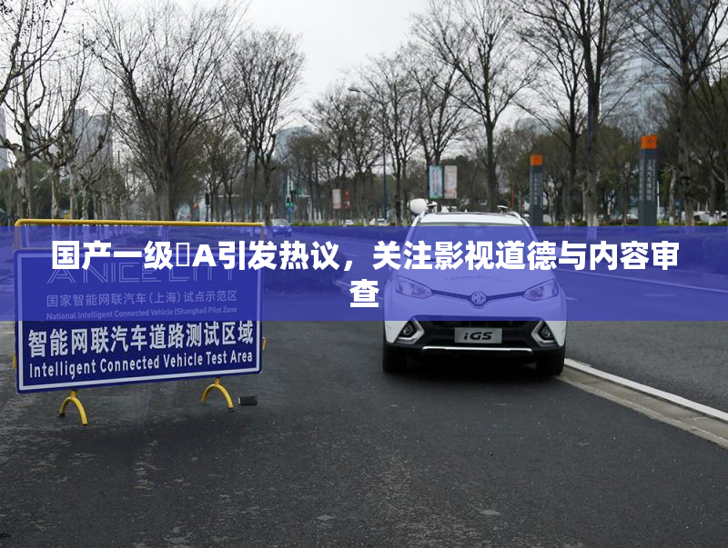 国产一级婬A引发热议，关注影视道德与内容审查