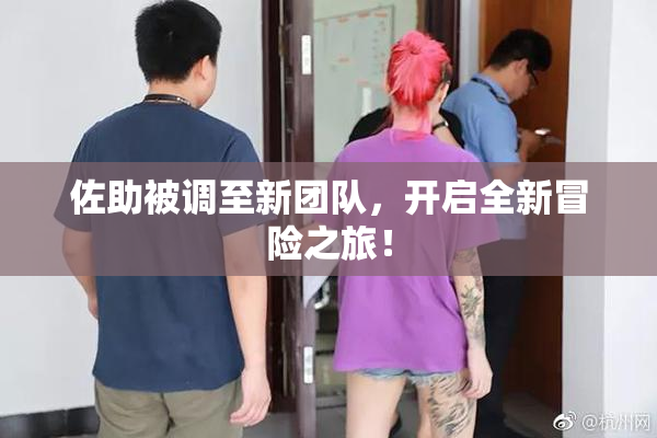佐助被调至新团队，开启全新冒险之旅！