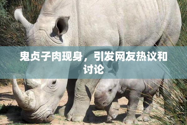 鬼贞子肉现身，引发网友热议和讨论