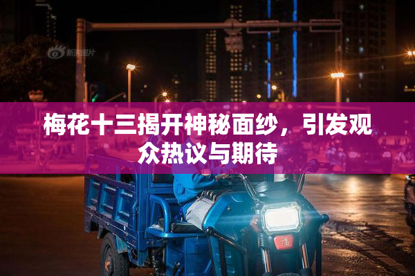 梅花十三揭开神秘面纱，引发观众热议与期待