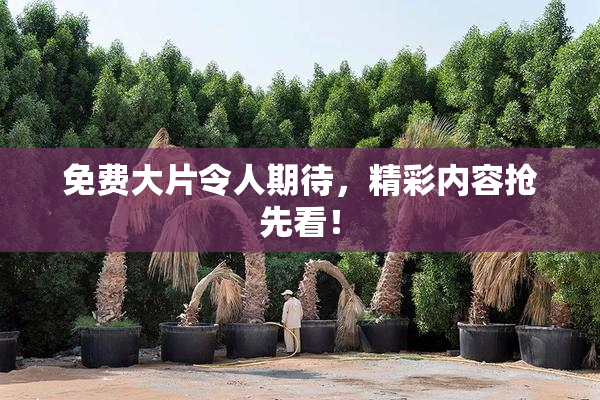免费大片令人期待，精彩内容抢先看！