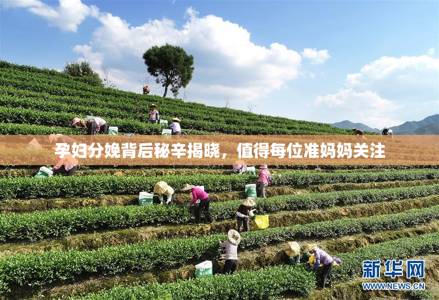 孕妇分娩背后秘辛揭晓，值得每位准妈妈关注