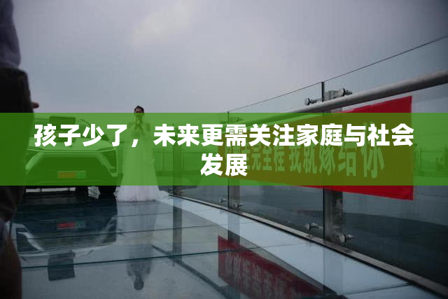 孩子少了，未来更需关注家庭与社会发展